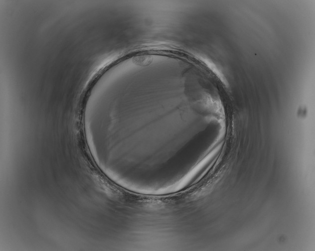 X0000095111405200712301725