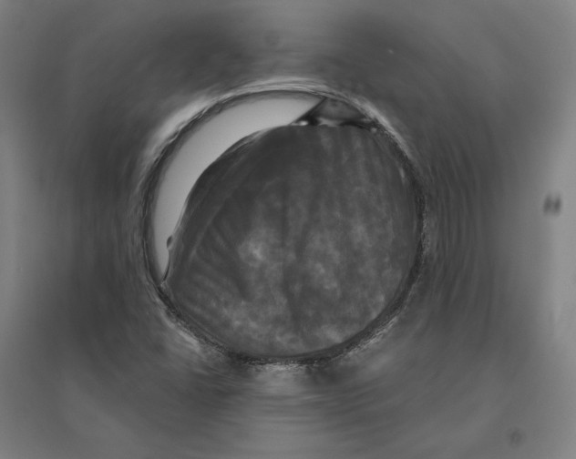 X0000095111406200712301725