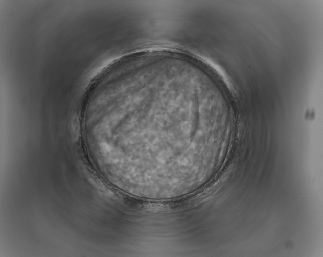 X0000095111407200712301725