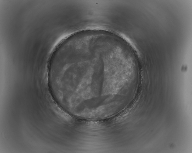 X0000095111408200712301725