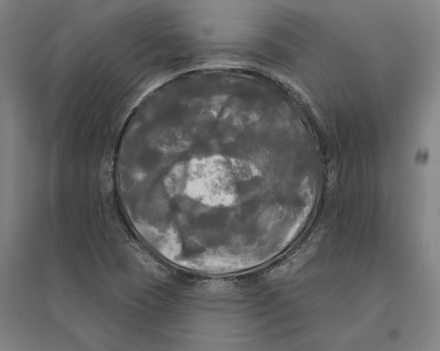 X0000095111409200712301725