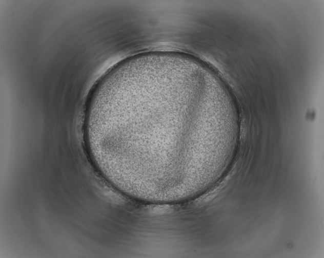 X0000095111410200712301725