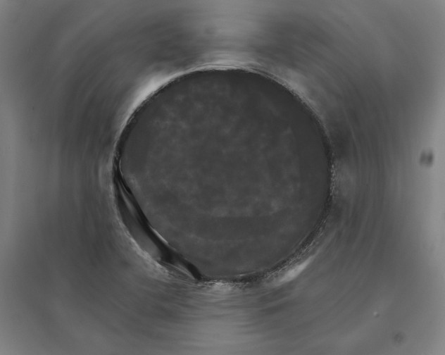 X0000095111412200712301725