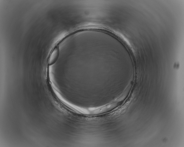 X0000095111413200712301725