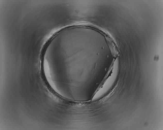 X0000095111414200712301725