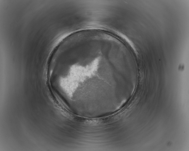 X0000095111415200712301725