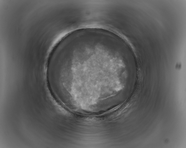 X0000095111416200712301725