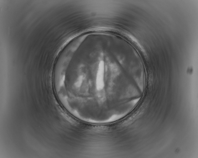 X0000095111417200712301725