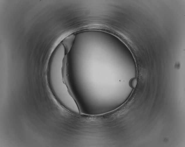 X0000095111418200712301725