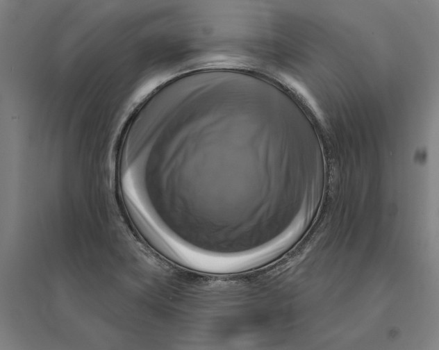 X0000095111419200712301725