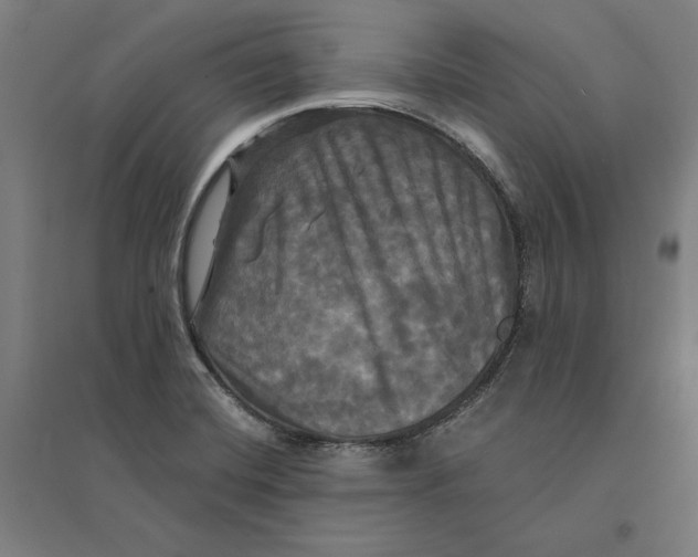 X0000095111420200712301725