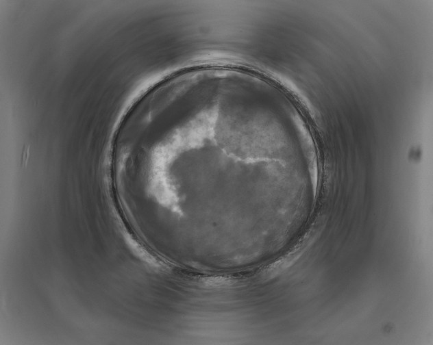 X0000095111421200712301725