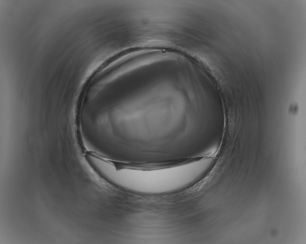 X0000095111422200712301725