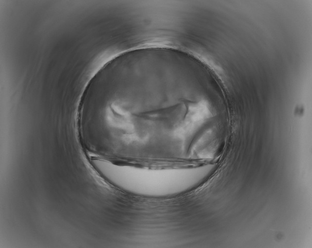 X0000095111423200712301725