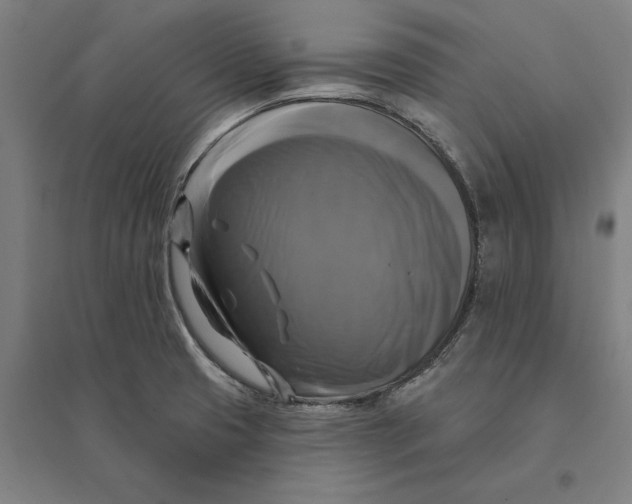 X0000095111425200712301725