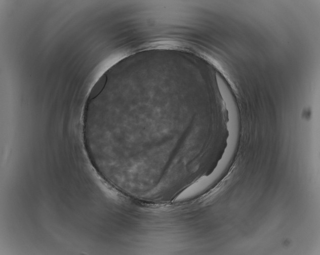 X0000095111426200712301725