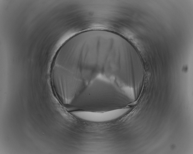 X0000095111427200712301725