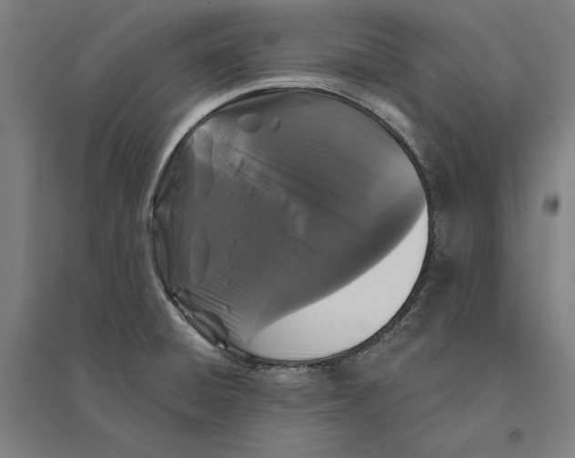 X0000095111428200712301725