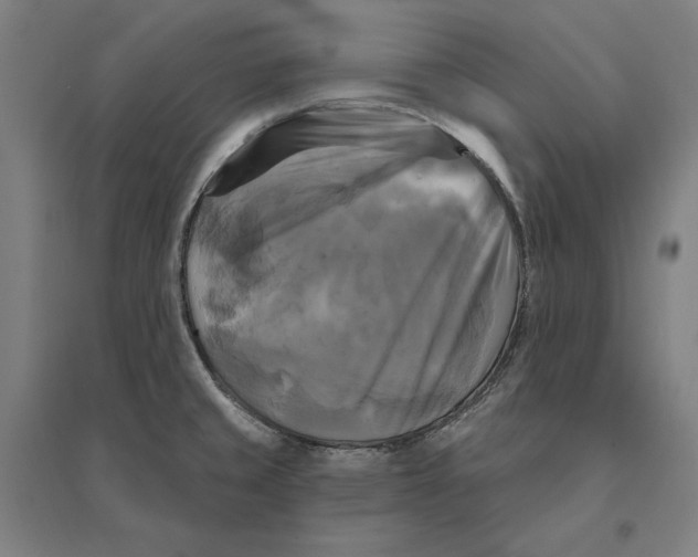 X0000095111429200712301725