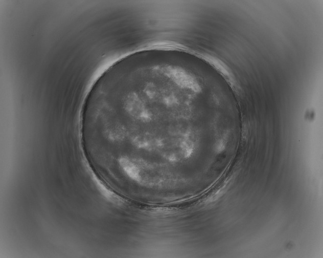 X0000095111430200712301725