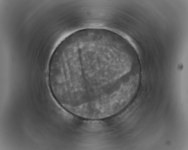 X0000095111432200712301725