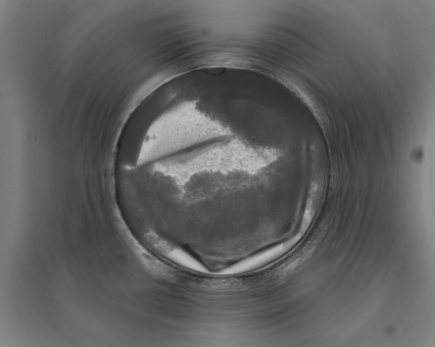 X0000095111434200712301726