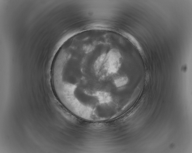 X0000095111435200712301726