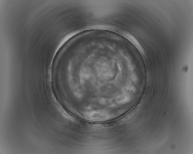 X0000095111436200712301726