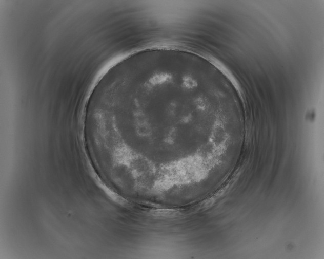 X0000095111437200712301726