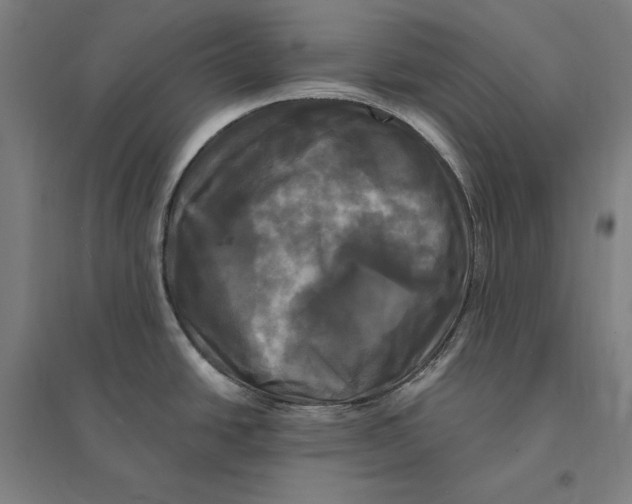 X0000095111438200712301726