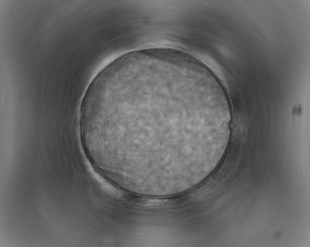 X0000095111439200712301726