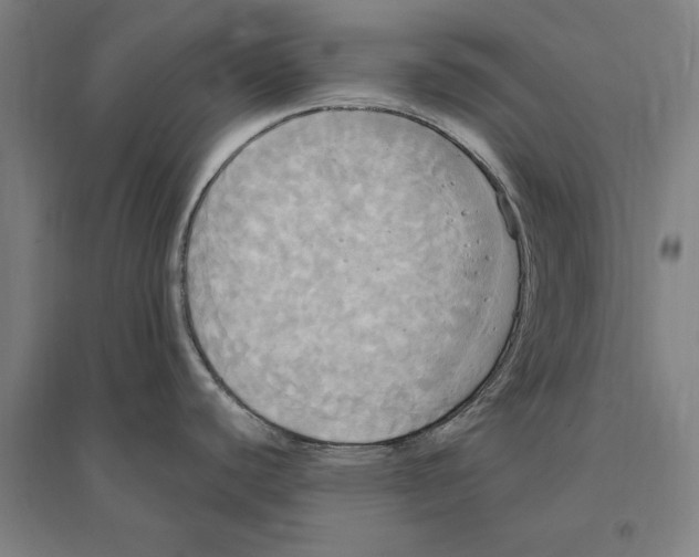 X0000095111440200712301726