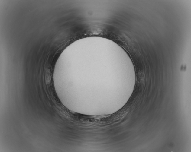 X0000095111442200712301725