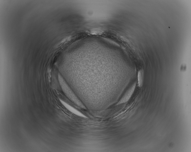 X0000095111443200712301725