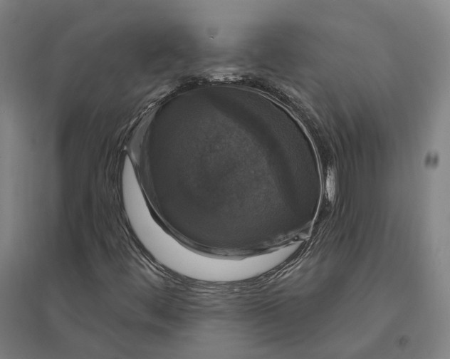 X0000095111444200712301725