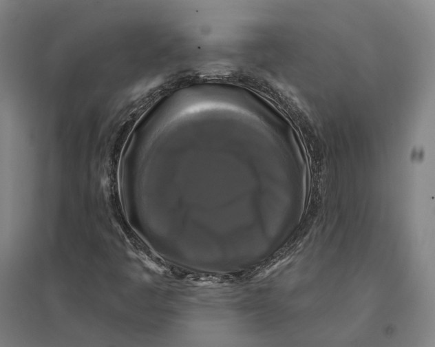 X0000095111445200712301725