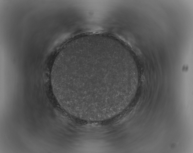 X0000095111447200712301725