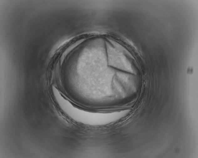 X0000095111448200712301725