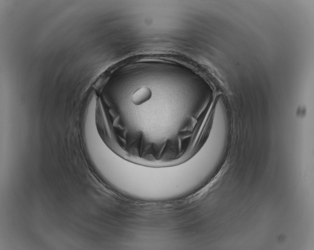 X0000095111449200712301725