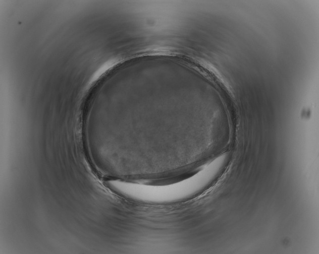 X0000095111450200712301725