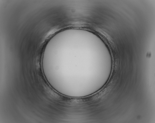 X0000095111451200712301725