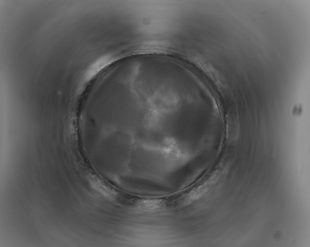 X0000095111453200712301725