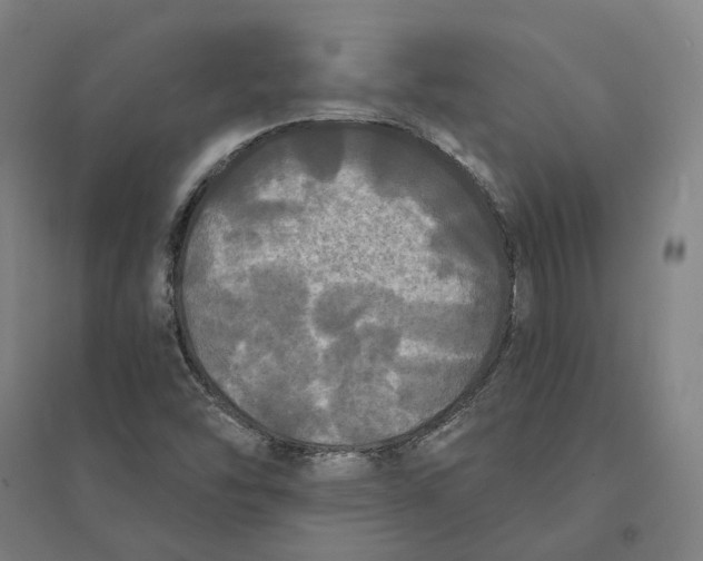 X0000095111454200712301725