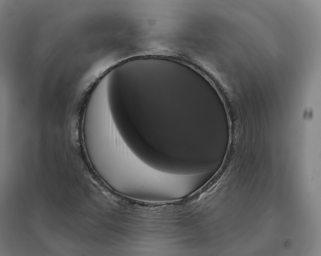 X0000095111455200712301725