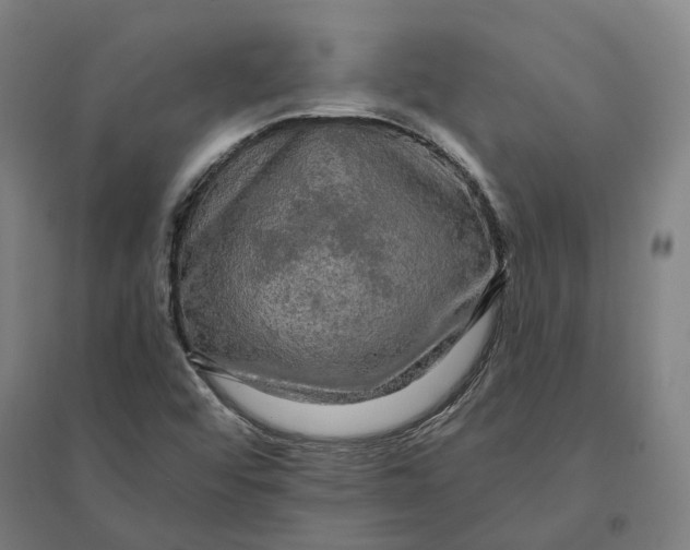 X0000095111456200712301725