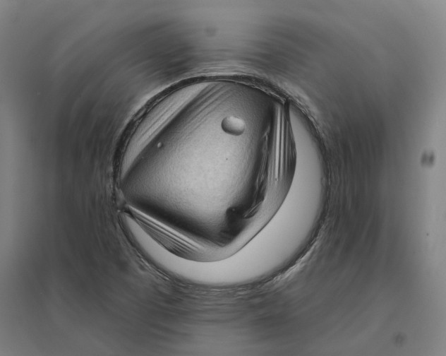 X0000095111457200712301725