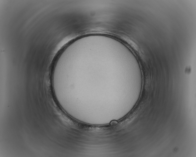 X0000095111458200712301725