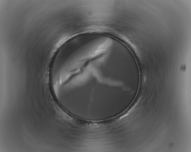 X0000095111459200712301725