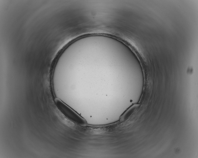 X0000095111460200712301725