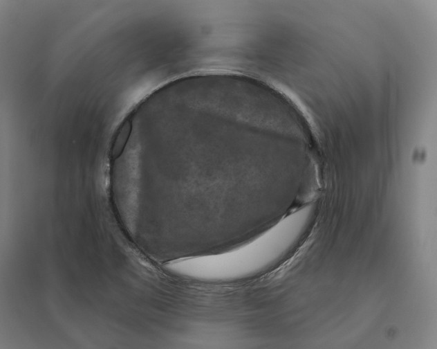 X0000095111461200712301725